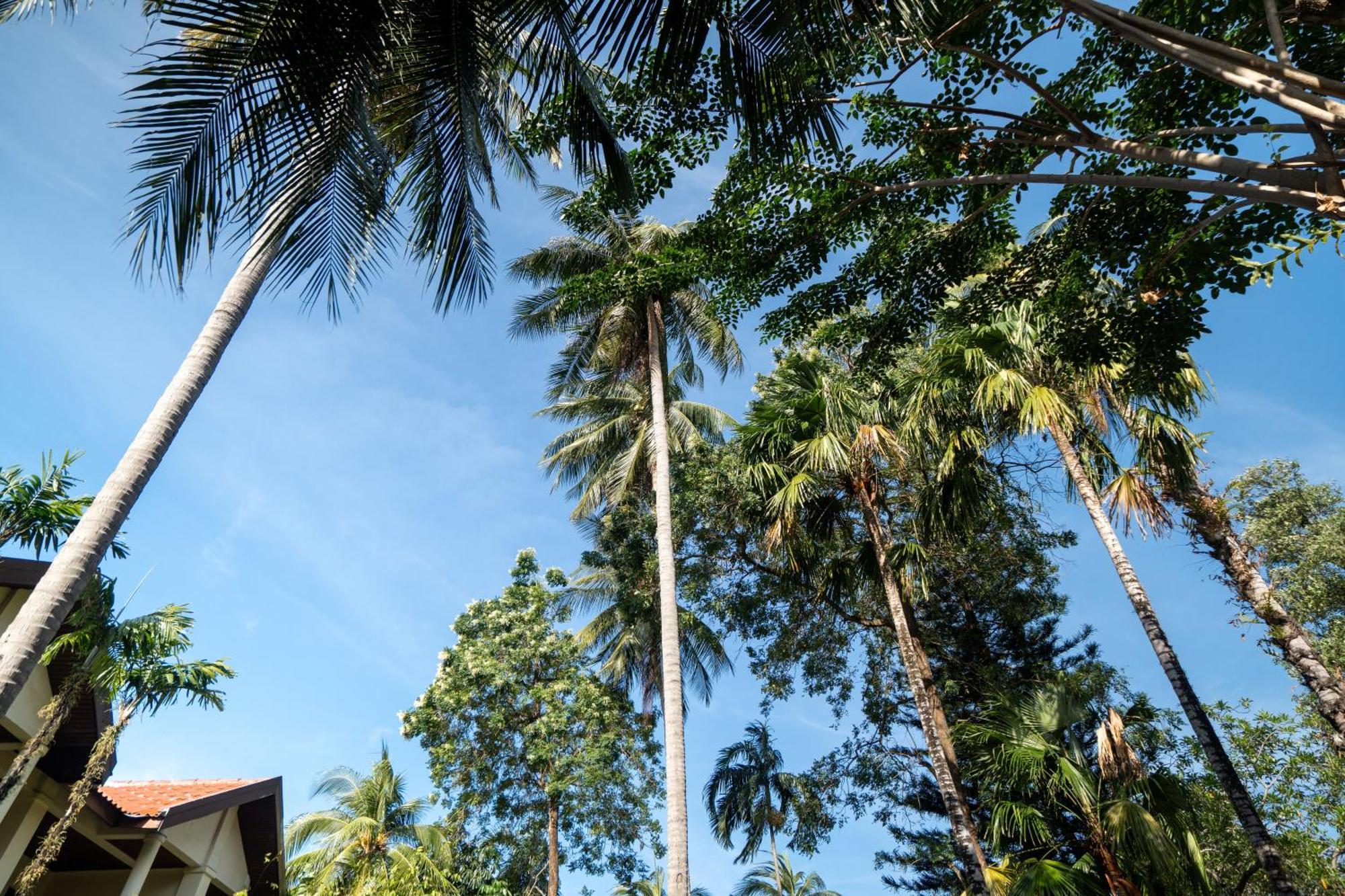 Phuket Leelavadee Hua Ting Resort Patong Dış mekan fotoğraf